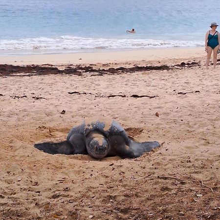 Ferienwohnung Sejour De Reve En Martinique 6 Pers Avec Piscine Les Trois-Ilets Exterior foto